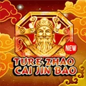 Es cierto Zhao Cai Jin Bao game thumbnail